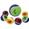 ICA DK2 Giocattolo Blister con Due Palline Tennis per Cani