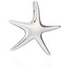 NKlaus ciondolo a catena stella marina in argento 925 24mm lucido anti appannamento Sea Star Sealife 9893