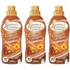 Generico Ammorbidente Carezza d'Argan Spuma di Sciampagna, Formula Concentrata, 3 Flaconi da 30 Lavaggi, Profumo Intenso e Lunga Durata, Liquido