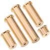 IMUSINICE Tappo Bilanciamento per Asta da Golf 5 Pezzi Oro 2g 4G 6g 8g 10g | Rame, Inserimento Preciso per Fitting e Assemblaggio, Adatto a Impugnature e Putter