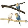 starfa lab 2 posatoi in legno naturale per uccelli, 20 cm, accessori per gabbia per uccelli, pappagallini, canarini e piccoli pappagalli