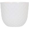 Artevasi Vaso Havana Tropical 50 cm Granito