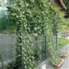 Generic 1 rete a traliccio da giardino in polietilene, resistente, per piante rampicanti, supporto per cetrioli, pomodori, vite, frutta, 0,9 x 1,8 m