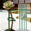 Generic Set di 5 aste di supporto per piante, riutilizzabili, per fiori in vaso, ortaggi, steli, accessori di supporto per piante da giardino (S, 29,8 x 4 cm)