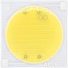 MZTZHVNVGK 5 pezzi 220V 14W 18W 24W 28W chip LED Nessun driver necessario Chip in ceramica LED COB Lampada perline Proiettore for faretti Luce esterna Pannello(Cold white,14W)