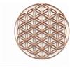 3defrance Fiore della Vita 14 cm in Filamento di Legno Biosourcé - Stampa 3D Professionale - Decorazione di Geometria Sacra - Realizzato in Francia - Piccola Azienda Francese - Supporto Decorativo e Simbolico