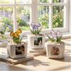 Gufacai Pianta in vaso di tulipano in vetro con foto personalizzata, vaso di fiori di tulipano in vetro personalizzato per la mamma, festa della mamma, regalo di compleanno, vaso in vetro soffiato a