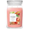 Yankee Candle Giara Grande Signature White Strawberry Bellini Candela Profumata Estate