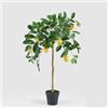 EDG Enzo De Gasperi Limone Artificiale con Vaso Anti-UV 148cm