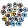 SUCHUANGUANG 20 Pezzi di Vetro per Occhi di Bambola Artigianato di Animali bulbi oculari per Accessori per Occhi di Dinosauro