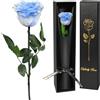 Yamonic Rosa Stabilizzata Regalo Donna,Rosa Eterna con Steli Regalo per Donne Compleanno,Idee Regali per Lei,Regali Mamma Natale San Valentino Festa della Mamma,Vera Rosa