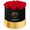 Amoroses Special Velvet - 12 Rose Stabilizzate Vere in elegante cappelliera di velluto - Idea Regalo per San Valentino e Altre Occasioni Speciali (Scatola Velluto Nero con Rose Rosse)