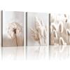 WENGTIAO 3 Pezzi Beige e Bianco Botanici Quadro su Tela Incorniciato | Stampa su Tela Dente di Leone Erba Coda di Coniglio Quadri Moderni Soggiorno Camera da Letto Decorazioni Parete 30x40cmx3