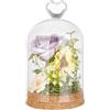 BENECREAT Cupola Espositiva In Vetro Da 16.4x9.1cm, Campana Decorativa A Cupola con Base In Sughero per Conservare I Fiori, Esemplari, Decorazioni Artigianali