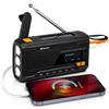 Denver Radio Portatile DAB+, Radio Bluetooth Solare a Manovella d'Emergenza | Radio DAB Plus, Radio FM, Bluetooth, Batteria ricaricabile, Pannello solare, Manovella, Torcia LED, Allarme SOS, Display LCD