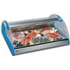 Tecfrigo Vetrina Refrigerata da Banco AZZURRA2 per Crostacei e Pesce Fresco - Piano Inox Larghezza Cm 63,5