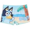 sarcia.eu Paw Patrol Pantaloncini da Bagno ad Asciugatura Rapida per LA Piscina, Boxer da Bagno da Ragazzo per LA Spiaggia