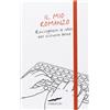 Corbaccio Il mio romanzo. Raccogliere le idee per scrivere bene