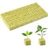 OFFCUP 50 Pz Cubi Coltivazione Lana, 2,5x2,5x2,5cm, Cubi Lana Roccia | Ockwool Grow Cubes, Rockwool Cube per Serra Idroponica Talee Soilless Cultivation