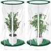 BORDEAG 2 pezzi tenda per svernamento piante 52x28cm, protezione invernale per piante in vaso, mini serra, serra per pomodori, serra a tunnel, per giardino, balcone, interno, piante da balcone
