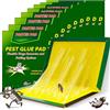 GlyndraPetal Trappola Scarafaggi Appiccicosa - 10 Pezzi 31.5 CM x 21 CM Forte Adesività, Molteplici Metodi di Piegatura, Continuo ed Efficace, Facile da Usare, Adatto per Uso Interno ed Esterno