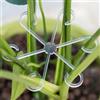 Generic 4 picchetti fissi in plastica per piante rampicanti, supporti da giardino, ramo di fiori e steli di fissaggio per vasi, 4 dimensioni (trasparente)
