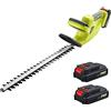 DEWINNER Tagliasiepi Senza Fili 20 V, Con 2 Batterie 2,0 Ah E Caricabatterie, Doppio Interruttore E Doppia Impugnatura Ergonomica, 65 CM, Lama Asimmetrica