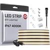 BTF-LIGHTING FCOB COB Flessibile ad Alta Densità Monocolore Striscia LED Bianco Naturale 4000K DC24V 5M 480LEDs/M 9W/M 10mm Nero PCB Dimmerabile Nastro LED IP67 Impermeabile(Solo Striscia)