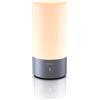Hifree Lampada da Tavolo, Sensore Touch LED, Lampada da Comodino, Luce Notturna che Cambia Colore (RGB) per Camere da Letto (Color Argento)