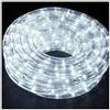 Generic 21 SHOP - TUBO LUMINOSO LED IMPERMEABILE LUCI BIANCO ESTERNO FREDDO NATALE 10 METRI