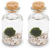 KAKI La Felicità è Nelle Piccole Cose Marimo Bottiglia, vaso in vetro con tappo, artigianale La Felicità, Made in Italy, diametro 4 cm, altezza 11 cm (Fondale Bianco) (Confezione da 2)