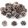 Xbessc 32 Pezzi Pigne Decorative Natalizie Pigne Naturali | Ornamenti Pigne per Albero di Natale Pigne da Neve per Decorazione da Tavolo Albero di Natale Artigianato DIY Decorazione
