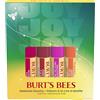 Burt's Bees burrocacao Fruit Set regalo, pesca, anguria, melagrana, pitaya
