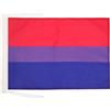 AZ FLAG Bandiera Arcobaleno Bisessuale 45x30 cm Poliestere 100D Cordini | Uso interno ed esterno bandiera decorativa della bisessualità doppie cuciture e bordi rinforzati