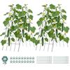 VEVOR Tralicci per Ortaggi a Forma di A 990 x 400 mm Set da 4 in Metallo | per Rampicanti Piselli Fagioli Zucchine Pomodori e Fiori, Supporto Piante con Rivestimento Antiruggine, per Aiuole Rialzate