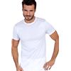 EGI Maglia Manica Corta Uomo Girocollo in Filo Scozia