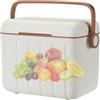 Generisch Borsa frigo da campeggio, 6 litri | Frigorifero per auto da viaggio, per camper, picnic, pesca, viaggi su strada, vacanze, barbecue, pesca, eventi sportivi