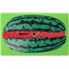 YARNOW Tappetino da Allenamento Golf Verde 15x9,5 Pollici Pieghevole | Plastica Sbr, Uso Interno Nelle Aree Pratica, Manutenzione Semplice, Esperienza Realistica, Portatile