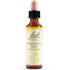 SCHWABE PHARMA ITALIA Srl Chestnut bud bach orig 20 ml