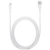 APPLE - Cavo Lightning Originale Bianco - SPEDIZIONE GRATUITA