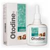 ICF OTODINE SOLUZIONE DETERGENTE AURICOLARE 50 ML.