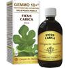 DR.GIORGINI SER-VIS Srl FICO 500ML LIQ ANALCO GEMMO10+