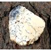 Naturale Australiano Dendrite Opale 60.30 Carato Gemma Fondo Grezzo Nuovo Anno