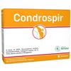 Condrospir integratore per la funzione articolare 14 bustine