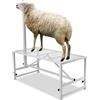 VEVOR Supporto per Capre Pecore, Supporto 1195 x 584 mm, Supporto per Bestiame Mungitura e Tosatura del Bestiame in Metallo Altezza Regolabile, con Copricapo Passante Naso,Peso Carico 226,8 kg Bianco