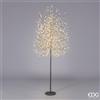 Enzo De Gasperi EDG Enzo De Gasperi Albero Faggio con base 1300 mini led H210 cm Nero