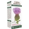 DR.GIORGINI SER-VIS Srl Cardo Mariano Estr Integr200ml