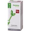 Fitomedical srl LENTISCO MG 50ML