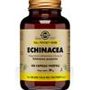 Solgar Echinacea 100 capsule solgar