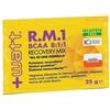 +WATT R.M.1 BCAA 8:1:1 Recovery Mix